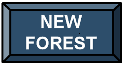 Faites un tour de la New Forest